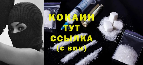 стаф Вязники