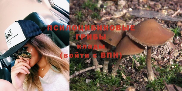 PSILOCYBIN Вязьма