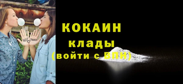 стаф Вязники