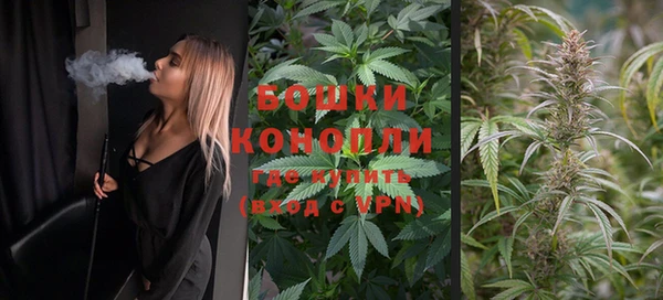 PSILOCYBIN Вязьма