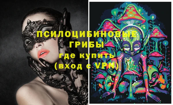 гашиш Вяземский