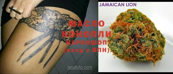 стаф Вязники
